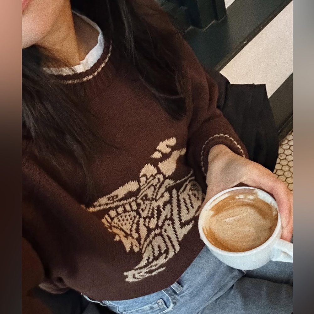 Burberry Brown Sweater